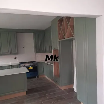Kitchens project: kitchen sage shaker 2